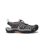 Men's Newport H2 Sandal  |  Magnet/Nasturtium